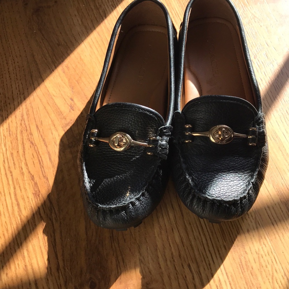 Coach Driving Shoes
